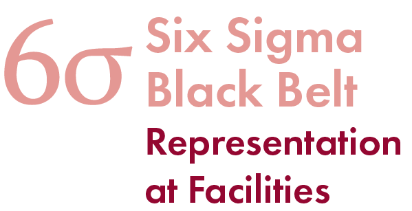 Six Sigma Black Belt Representation at Facilities